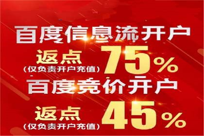 百度优化推广案例：从零开始打造爆款